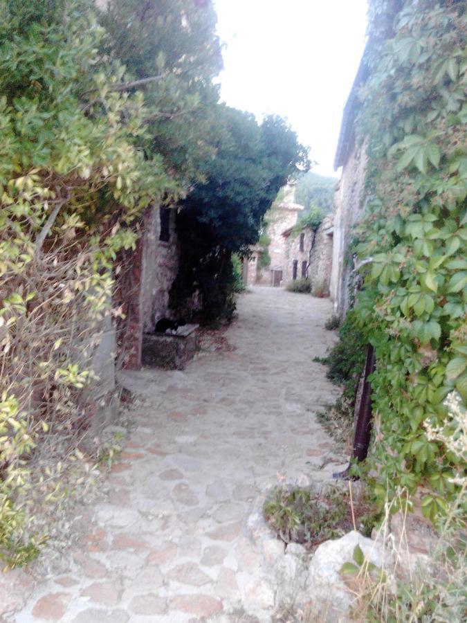 Villa De Montana Parque Natural Calar Del Rio Mundo - Independiente - 4 Dormitorios - 2 Banos Riópar Екстериор снимка