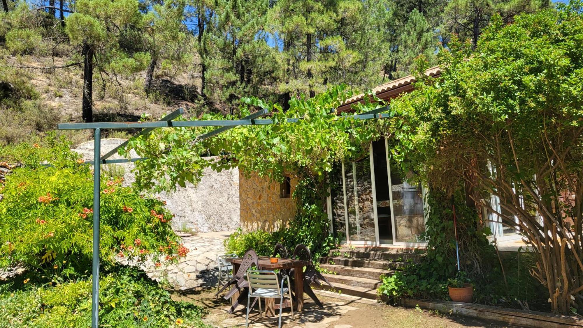 Villa De Montana Parque Natural Calar Del Rio Mundo - Independiente - 4 Dormitorios - 2 Banos Riópar Екстериор снимка
